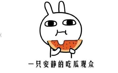网络词吃瓜是什么意思啊,吃瓜背后的文化内涵