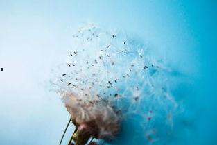 独立坚强的图片,女性力量的光辉写照