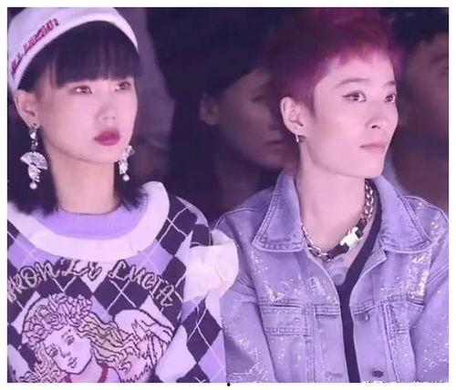 娱乐圈吃瓜大集合下载,揭秘“吃瓜大集合”下载背后的精彩瞬间