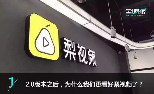 娱乐公司在那,创意与商业的完美融合