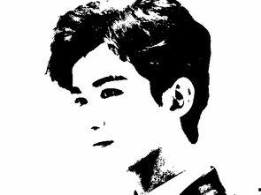 明星 剪影,探寻明星剪影背后的故事