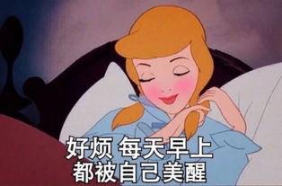 瑞 士表情包